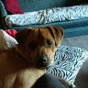 Meet your Posher, Zach